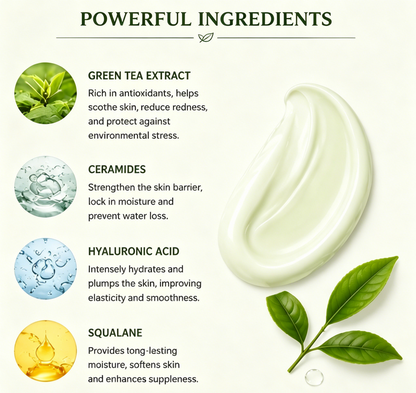 NOVELOVE® Crème de nuit hydratante au thé vert